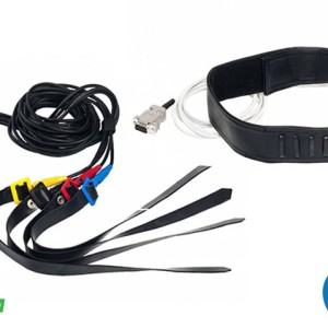 SCIO Full Harness System - QX