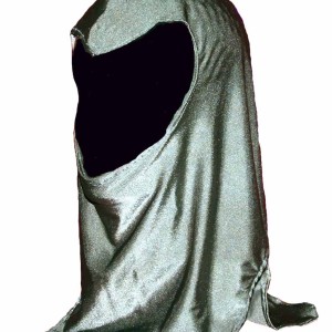 Silver-Shield-Hood