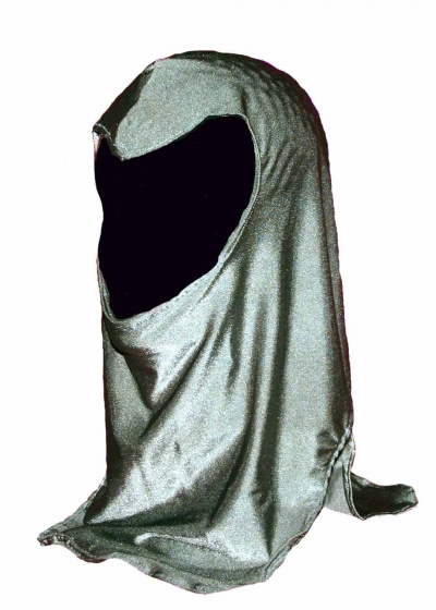 Silver-Shield-Hood