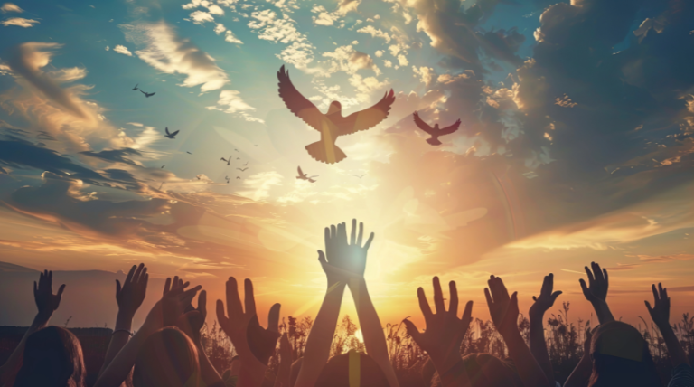 International Peace Day